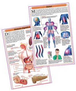 L' Anatomia del Corpo Umano — Libro - 6