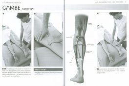 Anatomia del Massaggio - Guida Completa — Libro - 3