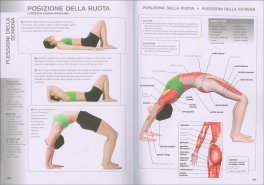 Anatomia dello Yoga per Principianti — Libro - 3