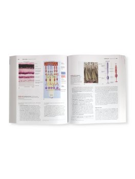 Anatomia & Fisiologia — Libro - 4