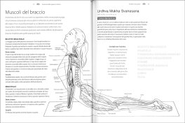 Anatomia Funzionale — Libro - 3