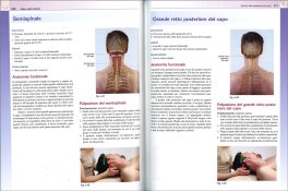 Anatomia Funzionale — Libro - 4