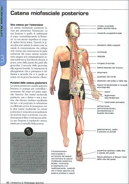 Anatomia & Massaggio Sportivo — Libro - 3