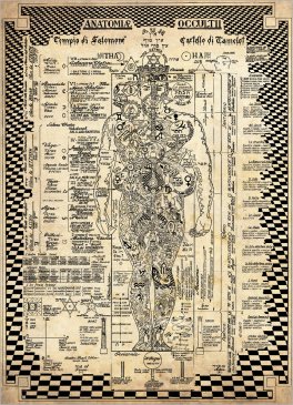 Anatomia Occulta — Poster - 1