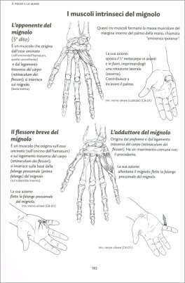 Anatomia per il Movimento — Libro - 3