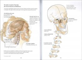 Anatomia per la Voce — Libro - 3