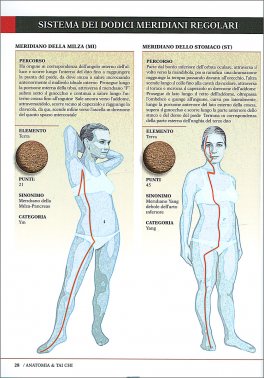 Anatomia & Tai Chi — Libro - 3