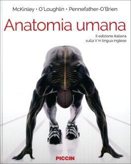 Anatomia Umana — Libro - 1