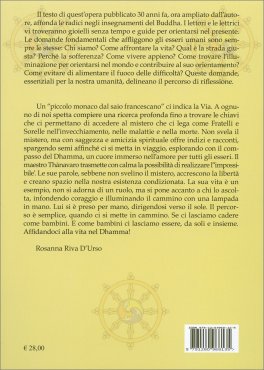 Andare Oltre la Sofferenza — Libro - 2