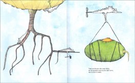Andrea Così Com'è — Libro - 3