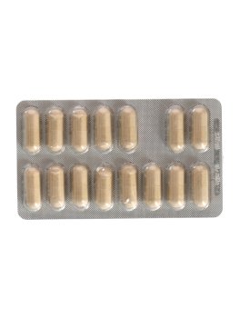 Andrographis Defense - Capsule - 4