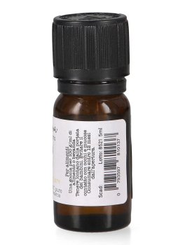 Aneto - Olio Essenziale - 2