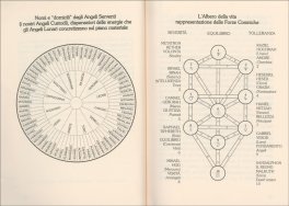 Angeli Lunari — Libro - 3
