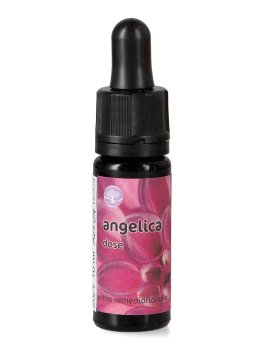 Angelica - Fiori Californiani - Dose - 1