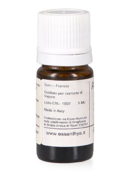 Angelica Semi - Olio Essenziale - 3
