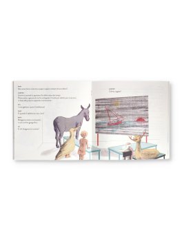 Animal Migrante — Libro - 6