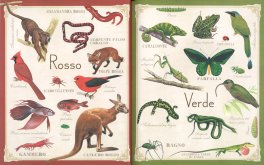 Animali — Libro - 3