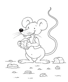 Animali Adorabili — Libro - 4