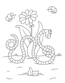 Animali Adorabili — Libro - 5