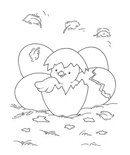 Animali Adorabili — Libro - 7