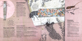 Animali Architetti — Libro - 3
