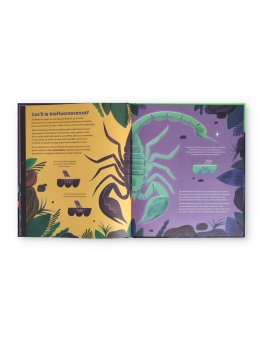 Animali che Brillano nel Buio — Libro - 2