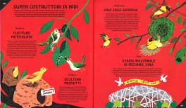 Animali Costruttori — Libro - 3