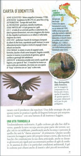 Animali delle nostre Montagne — Libro - 3