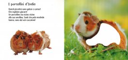 Animali Domestici — Libro - 3