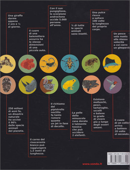 Animali in Cifre — Libro - 2