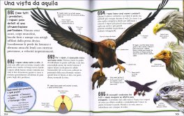 Animali Incredibili & Straordinari — Libro - 5