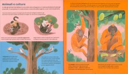 Animali Ingegnosi — Libro - 3