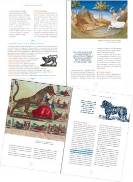 Animali Magici — Libro - 2