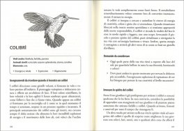 Animali Sciamanici di Potere — Libro - 3