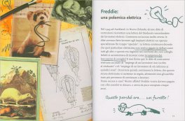 Animali Superstar — Libro - 3