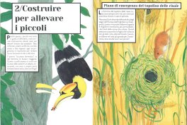 Animali Tuttofare — Libro - 3