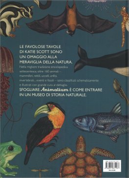Animalium — Libro - 2