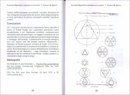 Anomalie Magnetiche Realizzate con la Mente — Libro - 3