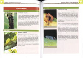 Antiparassitari Naturali — Libro - 3