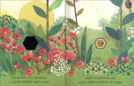 Ape — Libro - 3
