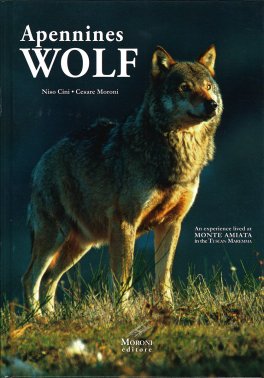 Apennines Wolf — Libro - 1