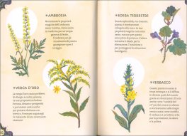 Apprendista Strega — Libro - 4