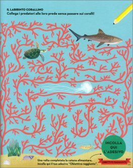 Apprendisti Scienziati — Libro - 3