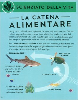 Apprendisti Scienziati — Libro - 4