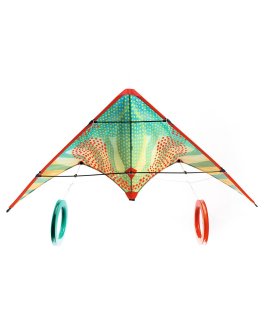 Aquilone Acrobatico Djeco - 1