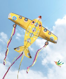 Aquilone Maxi Djeco - Maxi Plane - 3