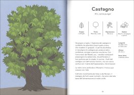 Arborama — Libro - 4