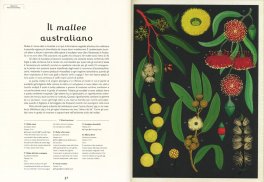 Arboretum — Libro - 3
