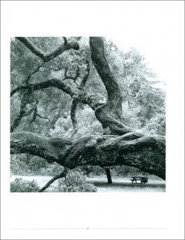 Arborgrammaticus — Libro - 3