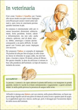 Arnica - Magie di un Fiore — Libro - 3